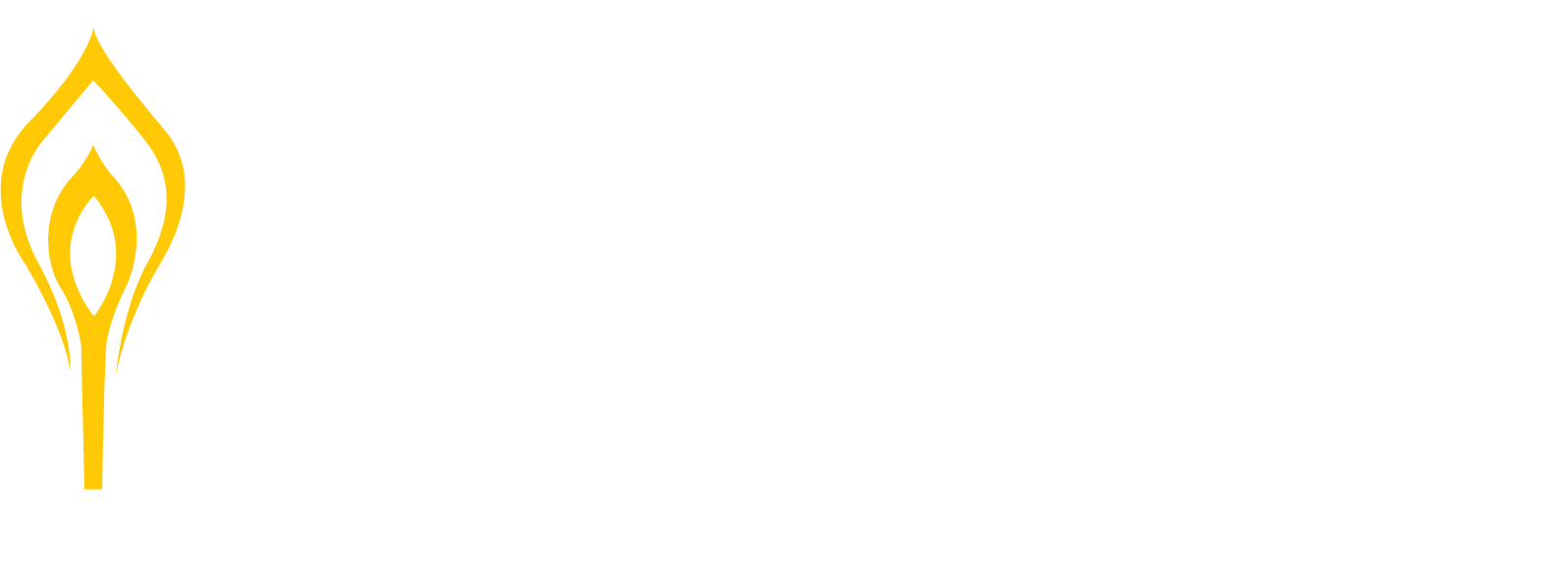 Origen Lifewalking – Dinámicas de Alto Impacto